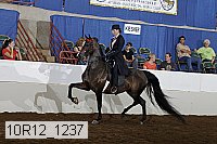 10r12_1237 proof