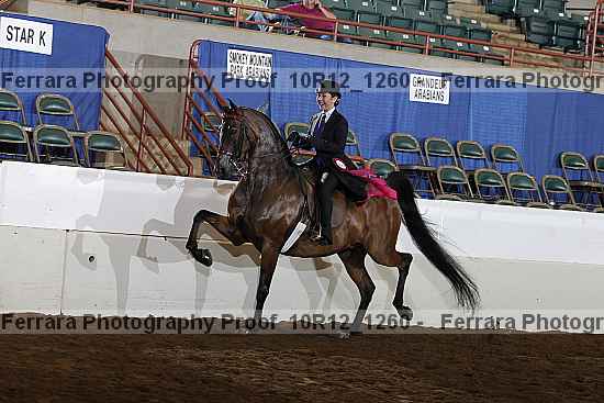 Proof 10r12_1260