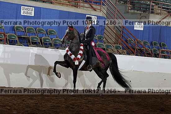 Proof 10r12_1266