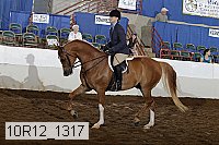 10r12_1317 proof