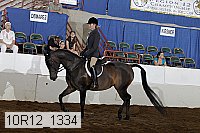 10r12_1334 proof