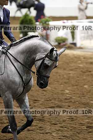 Proof 10r12_1341