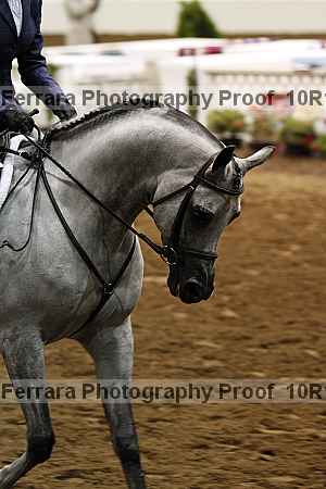 Proof 10r12_1342