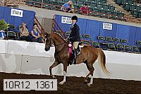 10r12_1361 proof