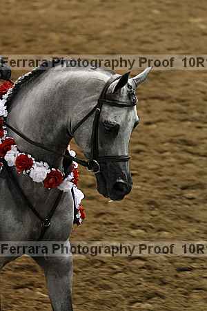 Proof 10r12_1382
