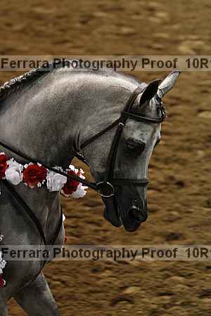 Proof 10r12_1383