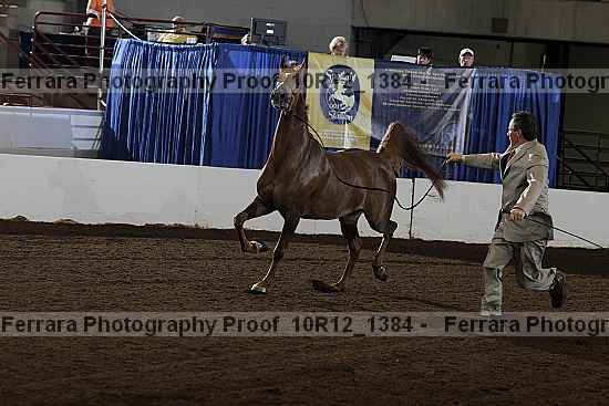 Proof 10r12_1384