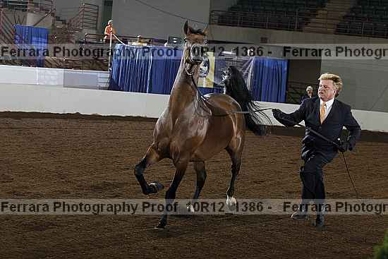 Proof 10r12_1386