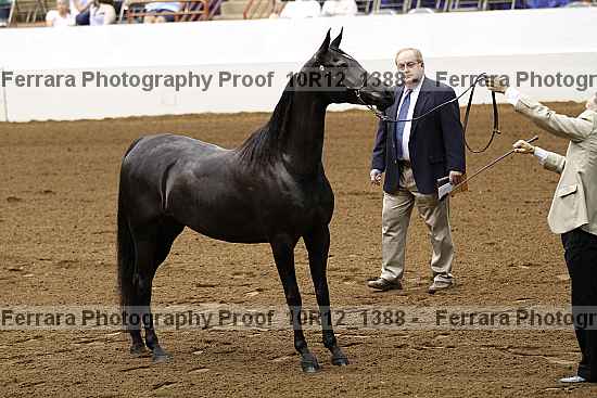 Proof 10r12_1388