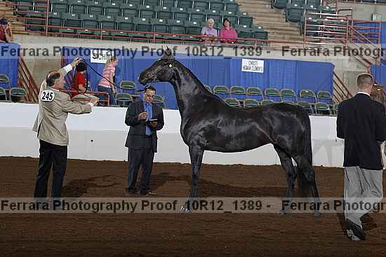 Proof 10r12_1389