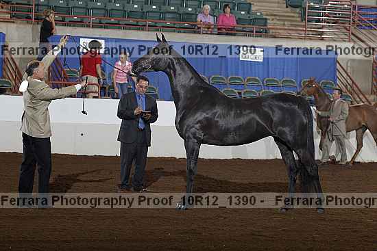 Proof 10r12_1390