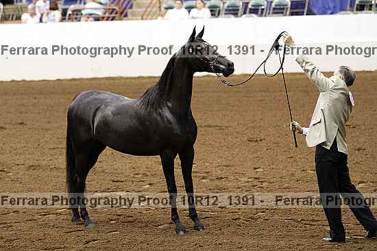 Proof 10r12_1391