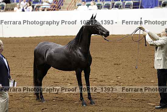 Proof 10r12_1393