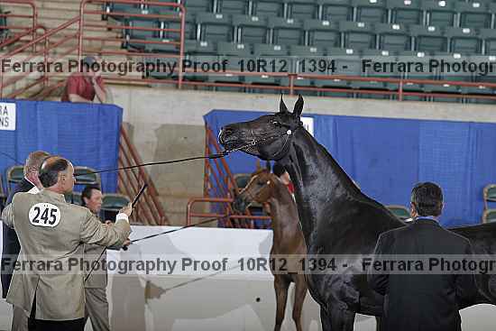 Proof 10r12_1394