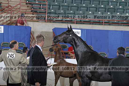 Proof 10r12_1395