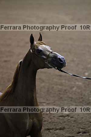 Proof 10r12_1397