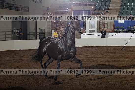 Proof 10r12_1399