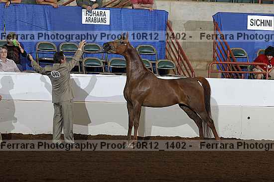 Proof 10r12_1402