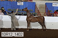 10r12_1402 proof