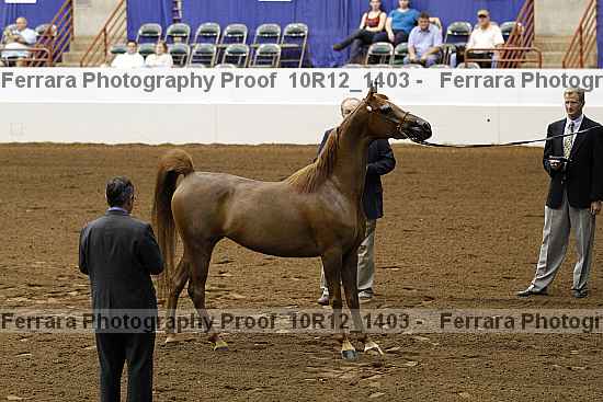 Proof 10r12_1403