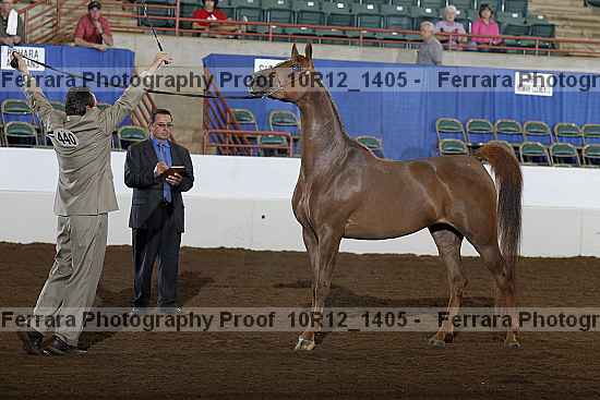 Proof 10r12_1405