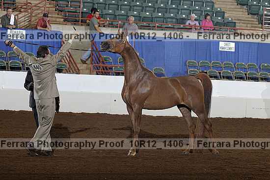 Proof 10r12_1406
