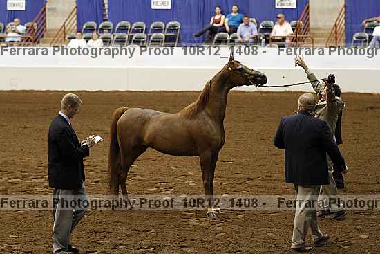 Proof 10r12_1408