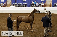 10r12_1408 proof