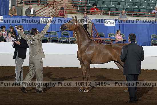 Proof 10r12_1409