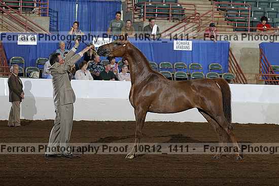 Proof 10r12_1411