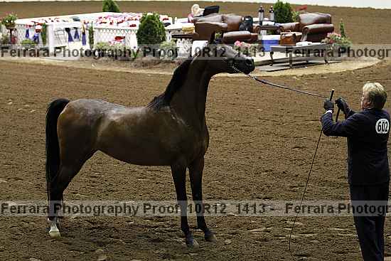 Proof 10r12_1413