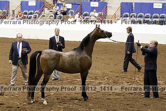 Proof 10r12_1414