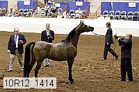 10r12_1414 proof