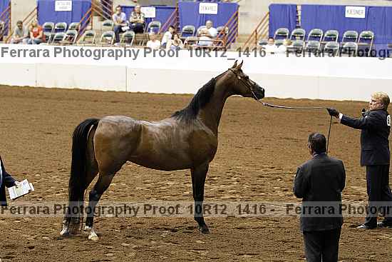 Proof 10r12_1416