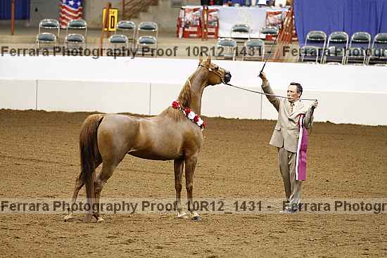 Proof 10r12_1431