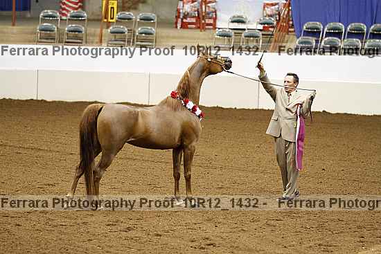 Proof 10r12_1432