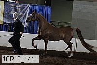 10r12_1441 proof