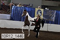 10r12_1446 proof