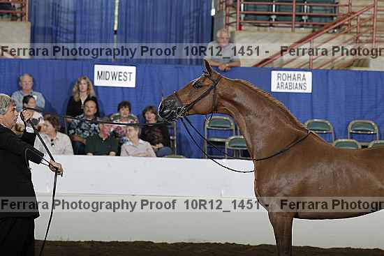 Proof 10r12_1451