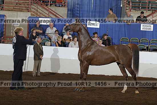 Proof 10r12_1456