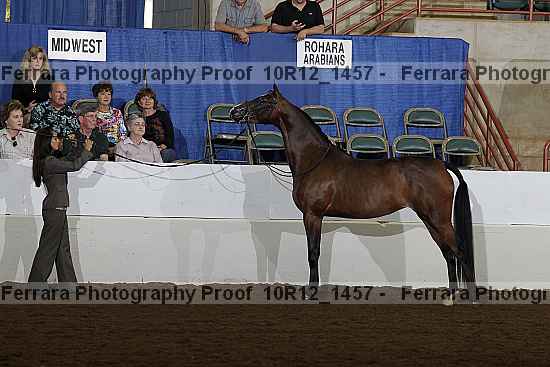 Proof 10r12_1457
