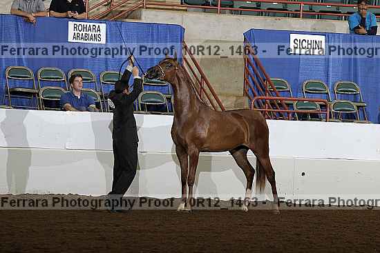 Proof 10r12_1463