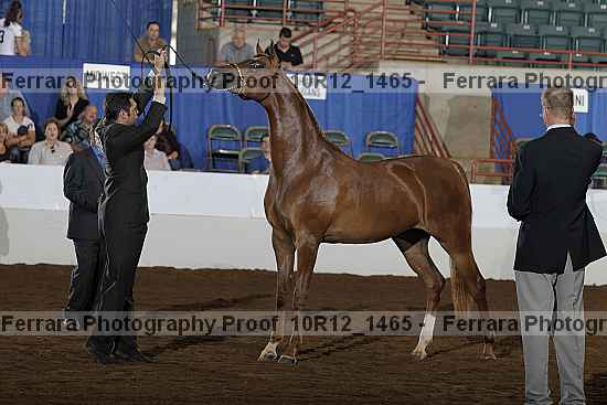 Proof 10r12_1465