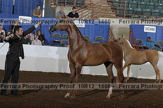 Proof 10r12_1466