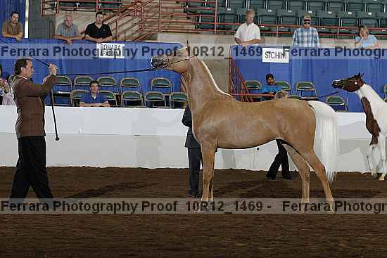 Proof 10r12_1469