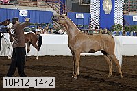 10r12_1472 proof