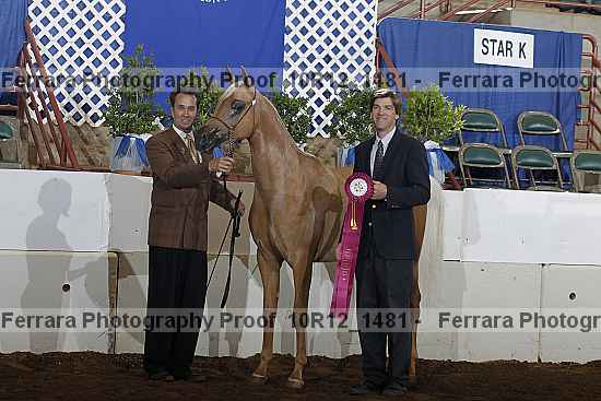 Proof 10r12_1481
