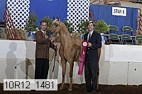 10r12_1481 proof