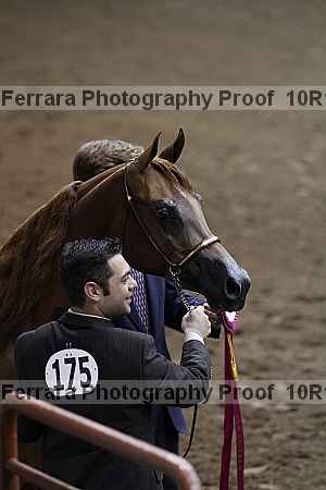 Proof 10r12_1482