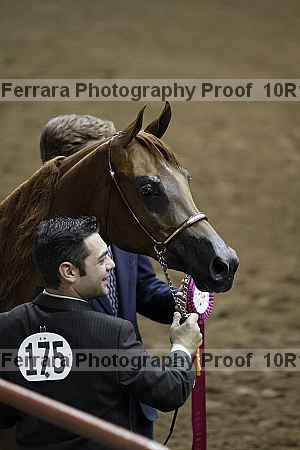 Proof 10r12_1483